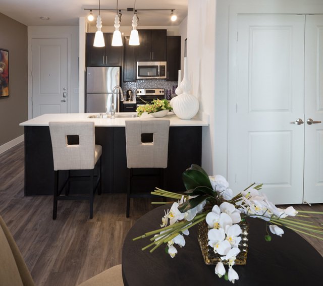 Modern Kitchen and Dining Room